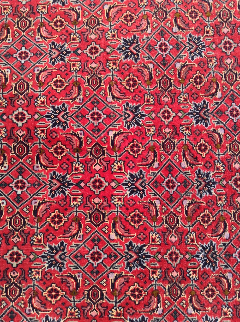 bijar persian red blue white 6-7 round cu