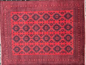 afghan 10x12-9 ws